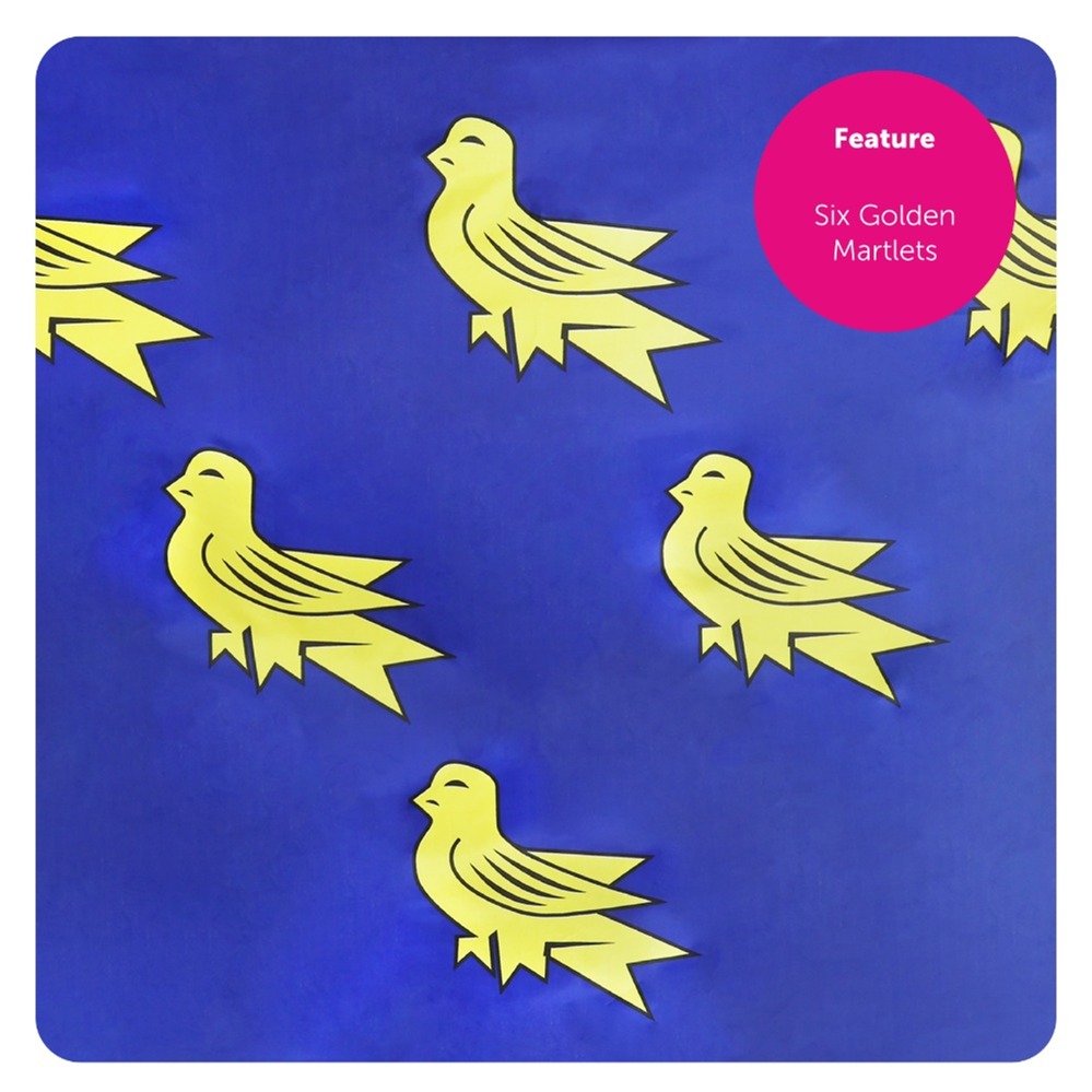 Large 5ft x 3ft Sussex Flag