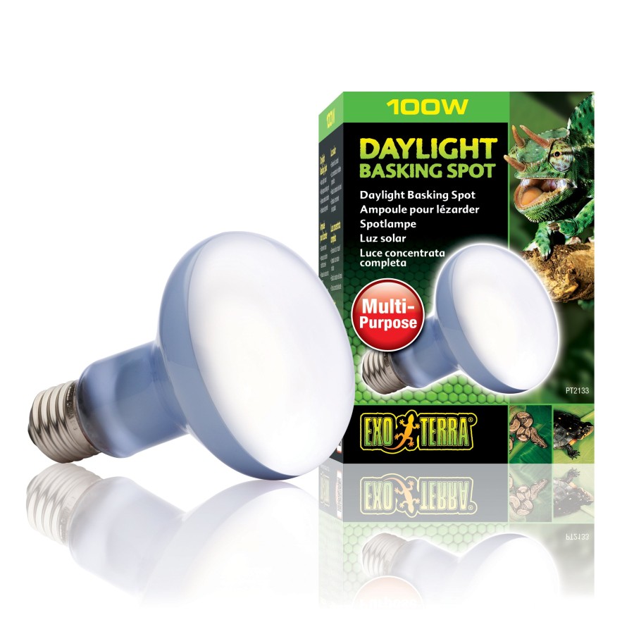 Click to view product details and reviews for Exo Terra Daylight Basking Spot 100w.