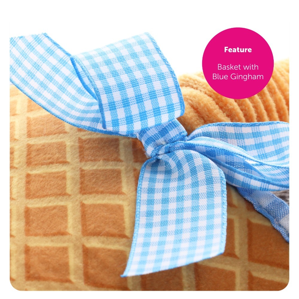 Adults Kansas Girl Costume - Hair Ties & Basket with Dog