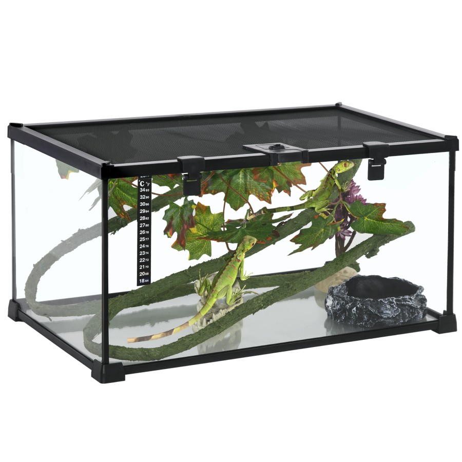 Click to view product details and reviews for Glass Reptile Terrarium With Heater Decor Kit.