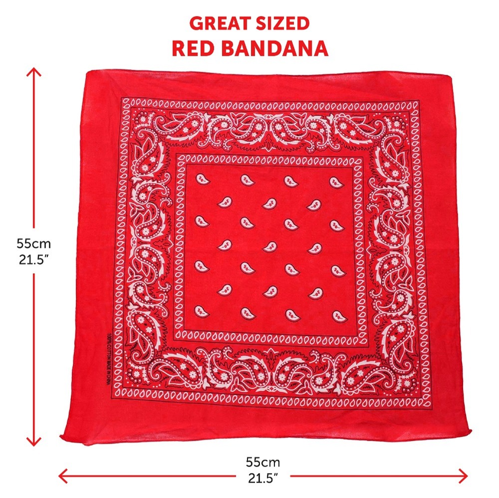 Brown Star Studded Cowboy Hat with Bandana & Tie