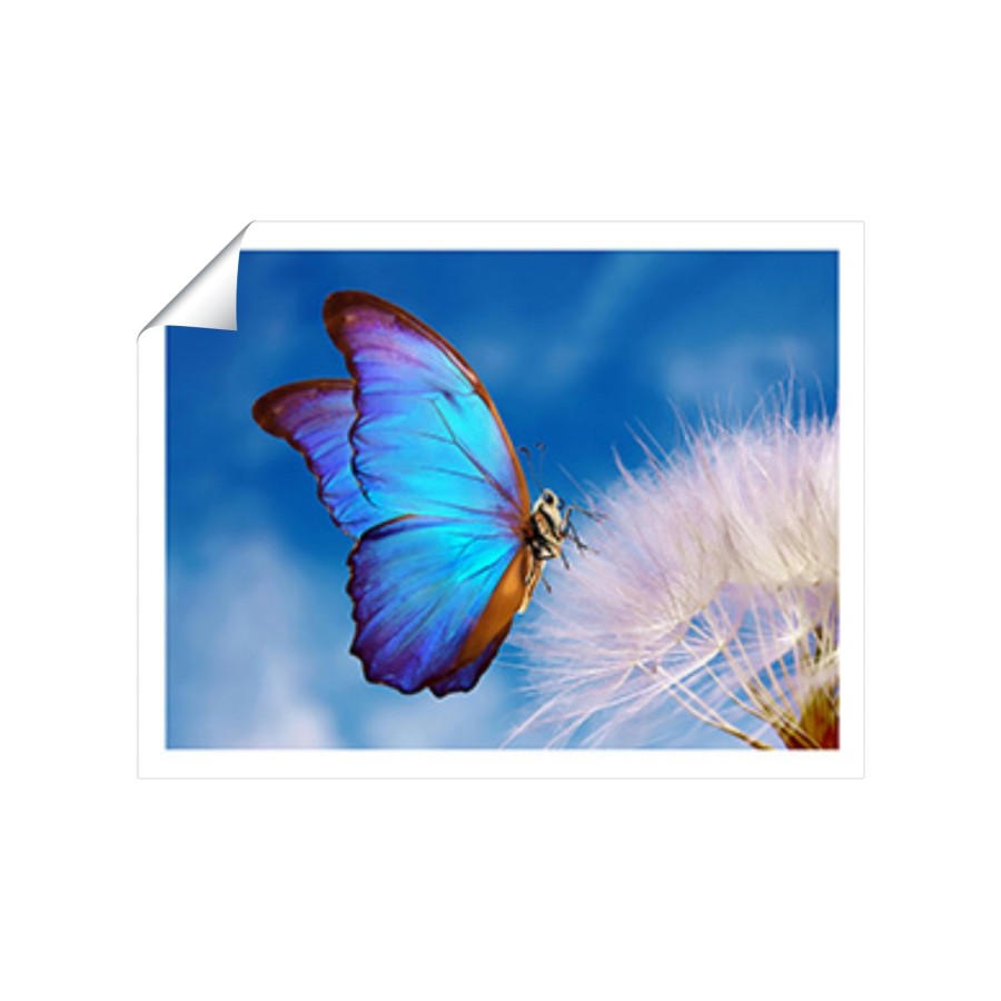 Click to view product details and reviews for Butterfly And Dandelion Art Prints 8 X 10 No Frame.