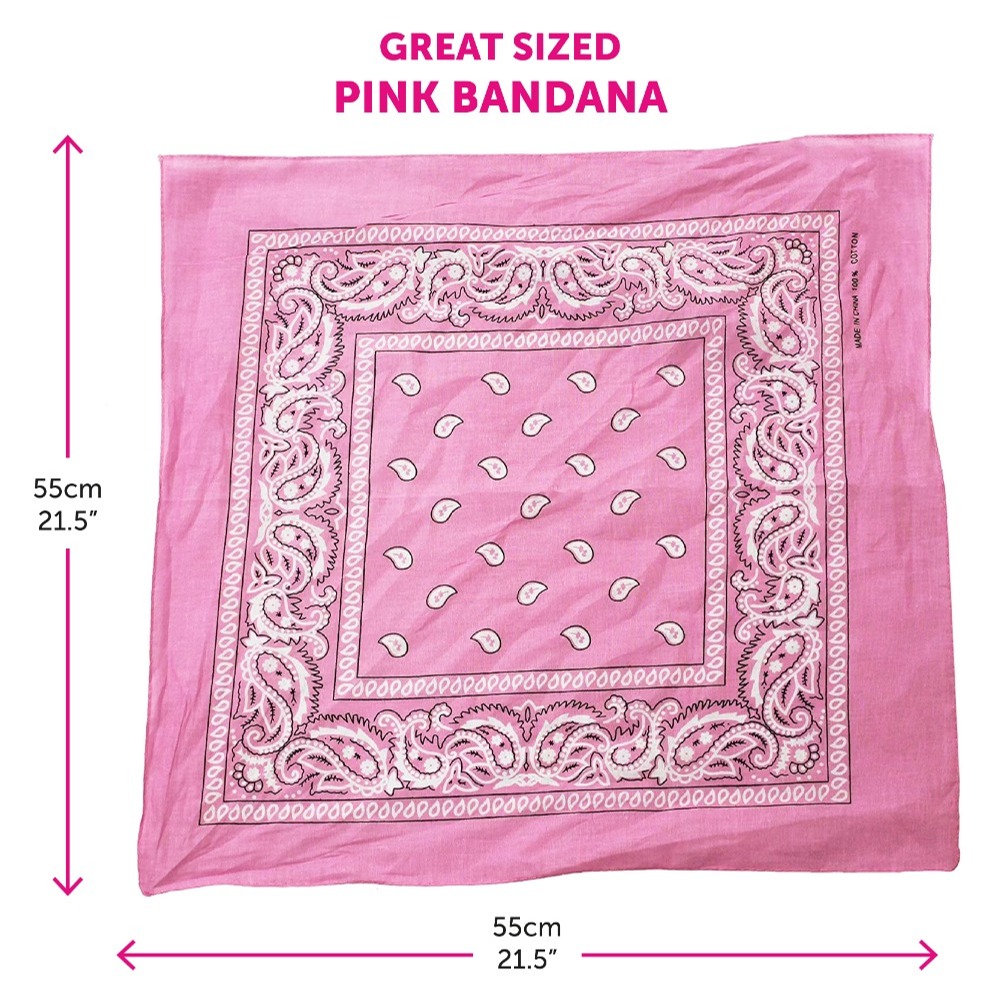 Pink Cowboy Hat with Diamantes & Bandana