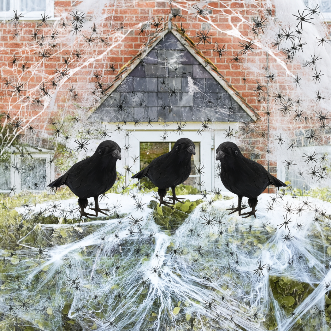 Click to view product details and reviews for Halloween Decoration Bundle Spiders Webs Crows Pack Of 3 Crow 200g Web.