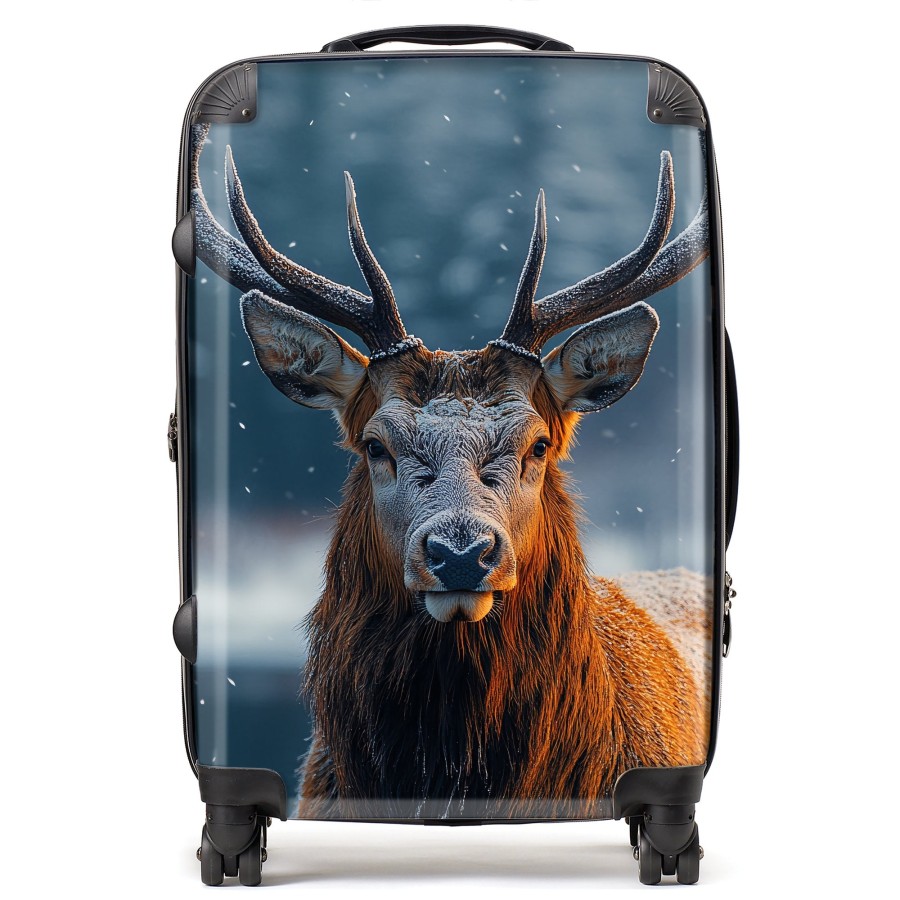 Click to view product details and reviews for Finn Wilder 00013 Suitcase Medium.