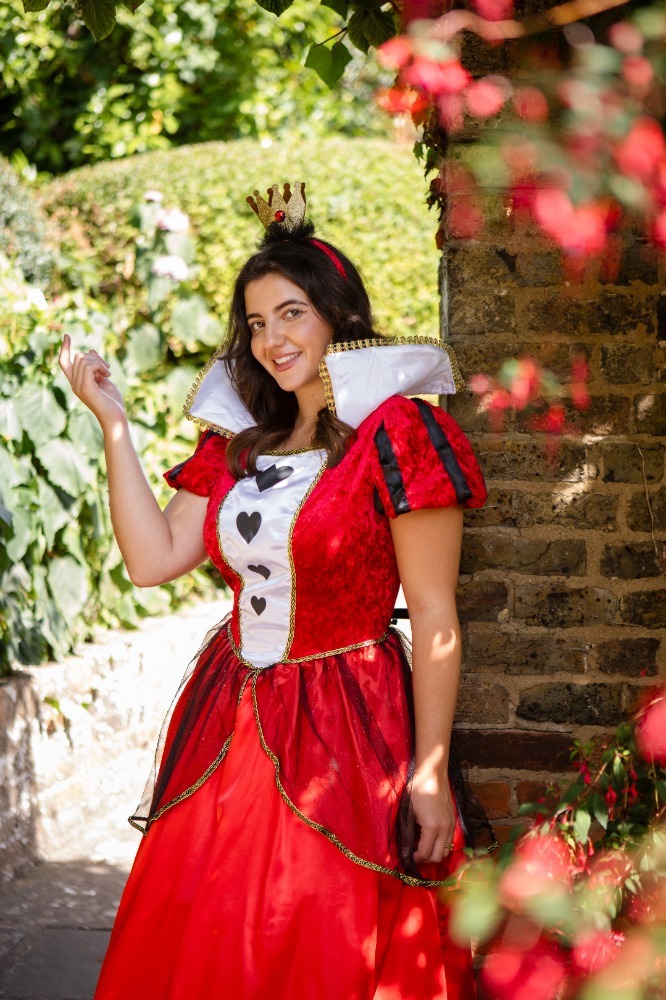 Ladies Queen of Hearts Costume