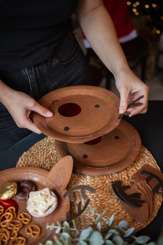 Pack of 10 Christmas Reindeer Paper Plates - 9 inch