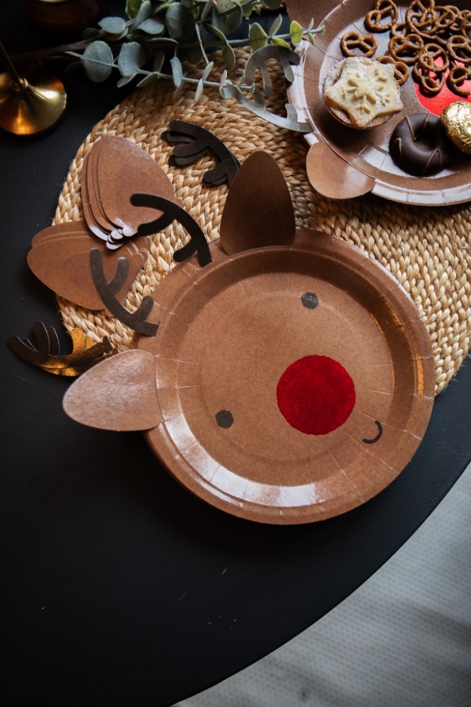 Pack of 10 Christmas Reindeer Paper Plates - 9 inch