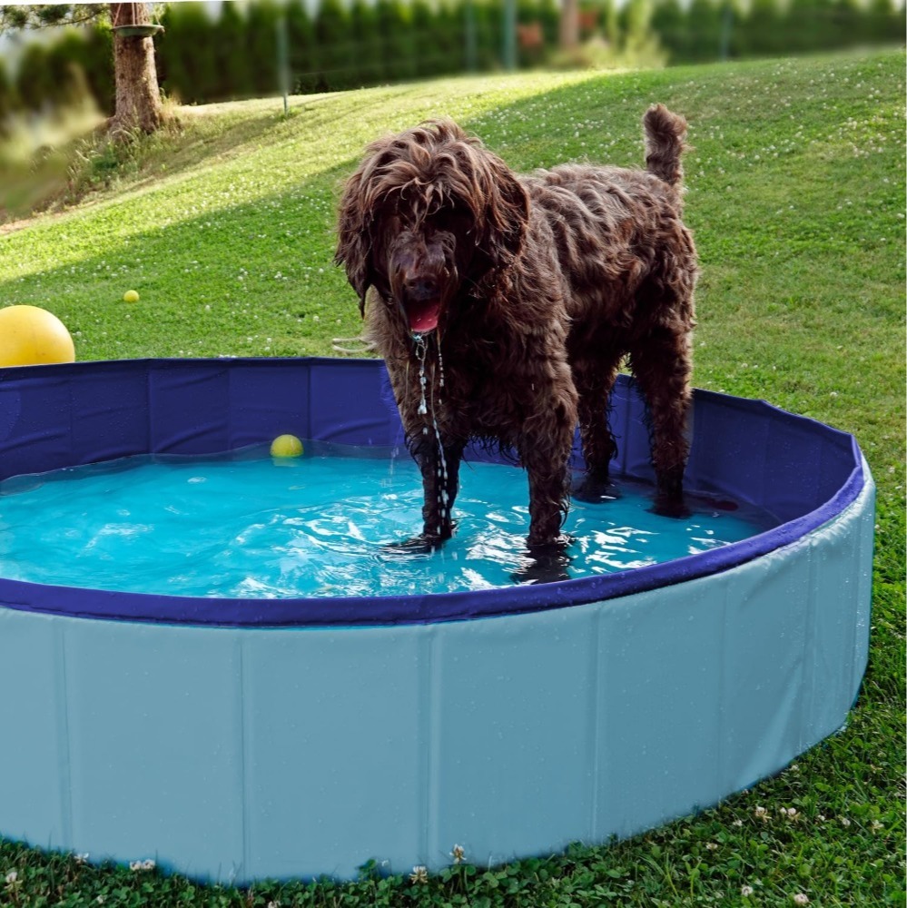 Foldable Dog & Kid Pool - Durable PVC Outdoor Bath, Anti-Slip Base