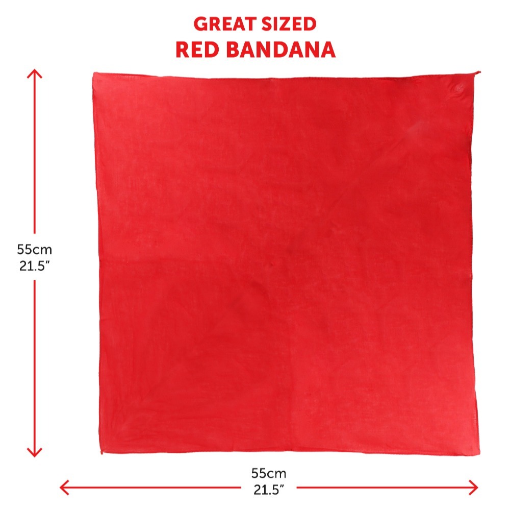 Adults Hulk Hogan Costume | 3 Pcs | T-Shirt, Bandana & Moustache