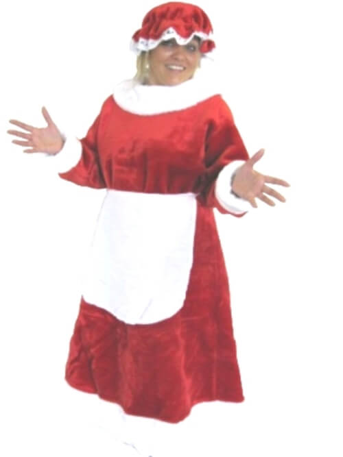 Costume Santa Mrs Professional Plush 3 Piece