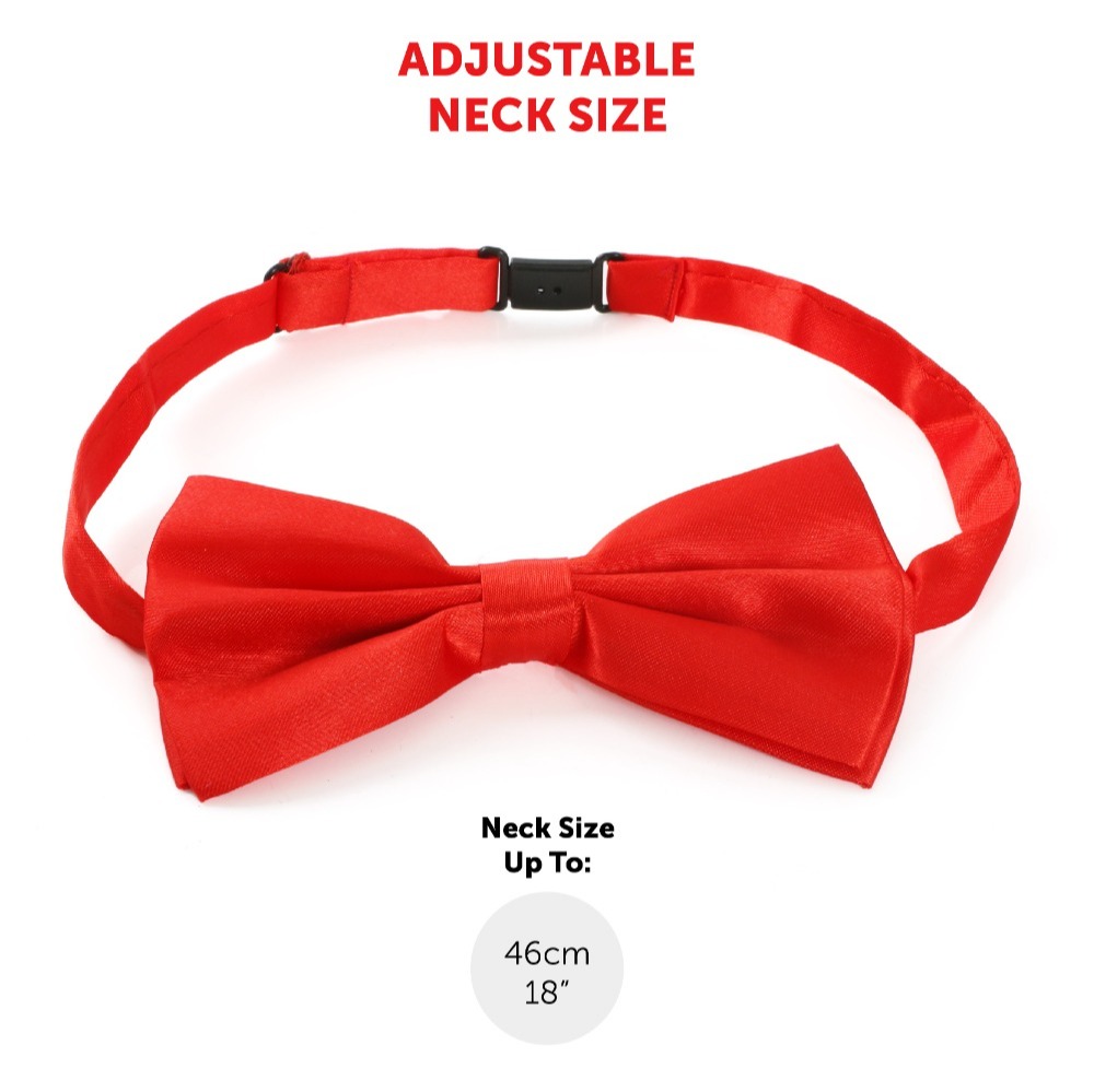 Adults Rebel Girl Costume Set | 4 Pcs | Plait Wig, Hat, Bow Tie & Microphone
