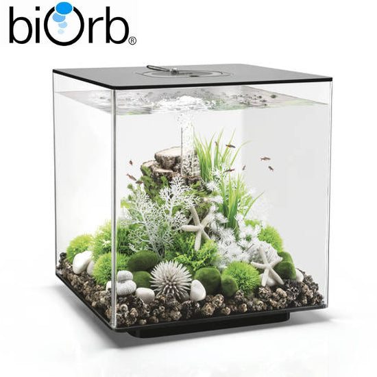 Click to view product details and reviews for Biorb Cube 60 Aquarium Mcr Led Lighting Black White Clear Black.