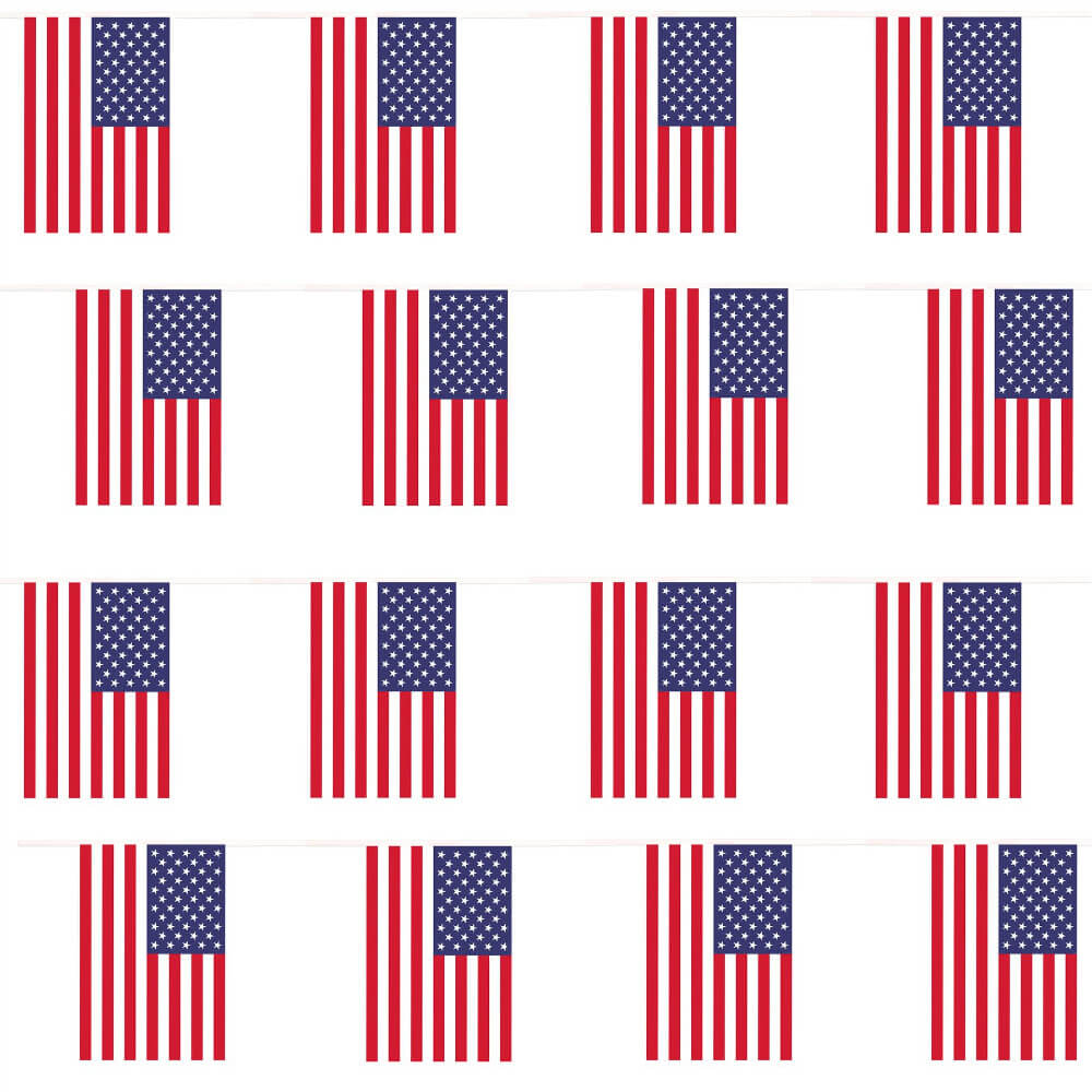 USA Bunting