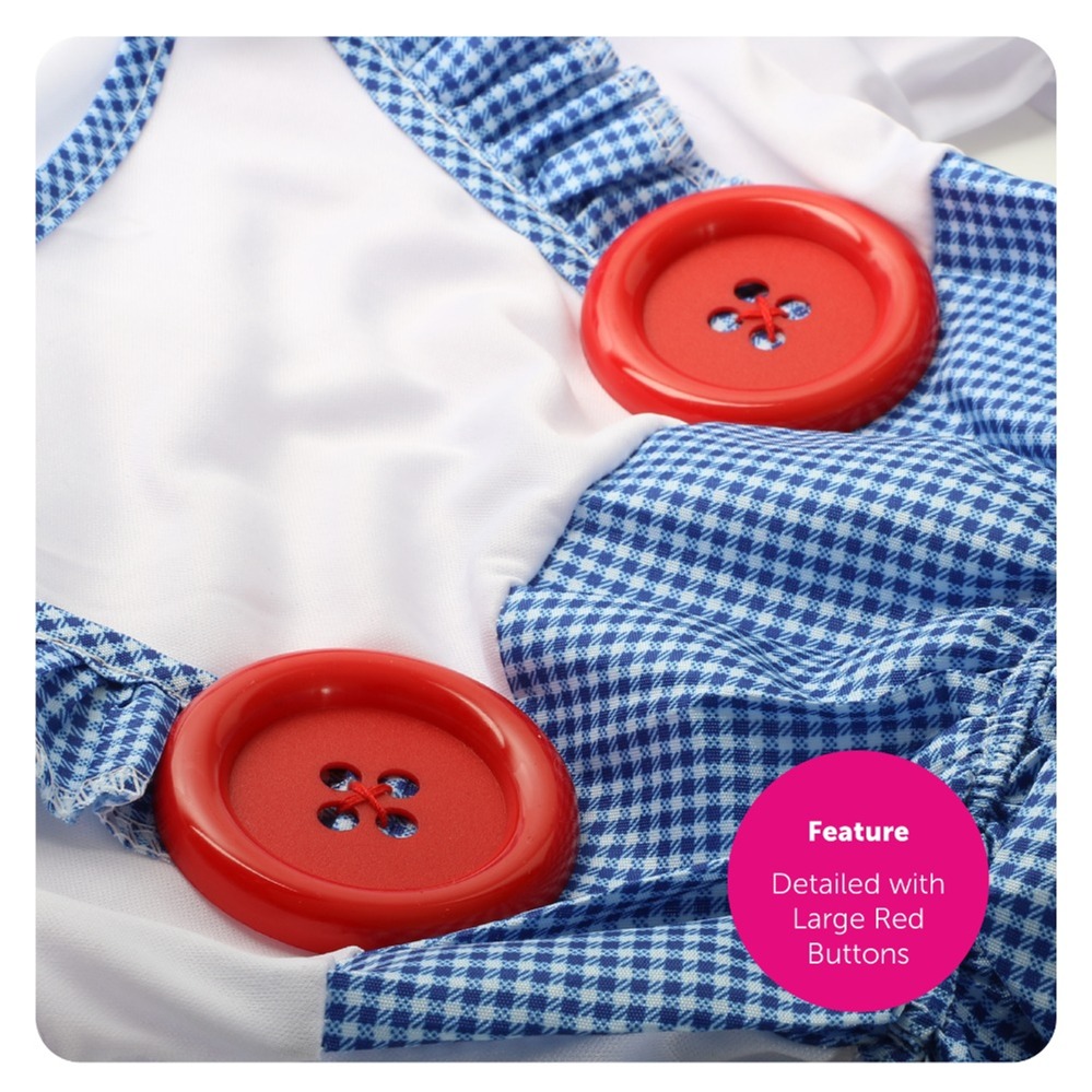 Adults Kansas Girl Costume - Hair Ties & Basket with Dog