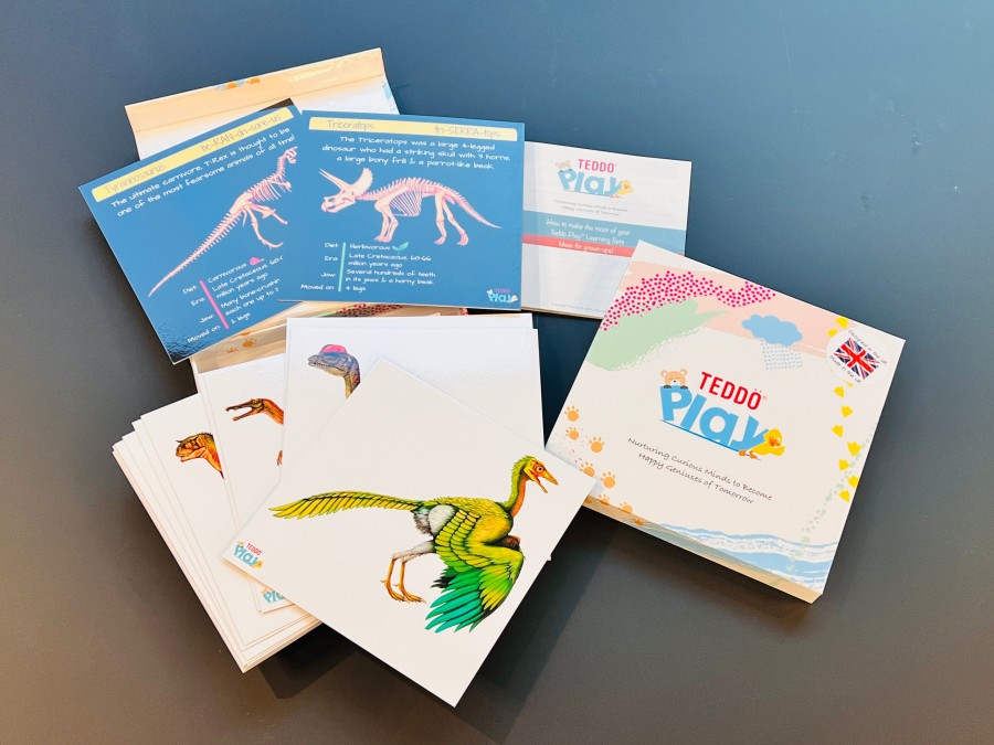 Teddo Play - Dinosaurs From Flesh to Bones Learning Cards Set