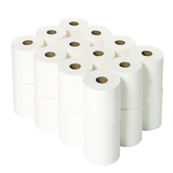 2Wrk 2Ply Wh Micr Twn Toilt Tis Pk24 - 2W06439