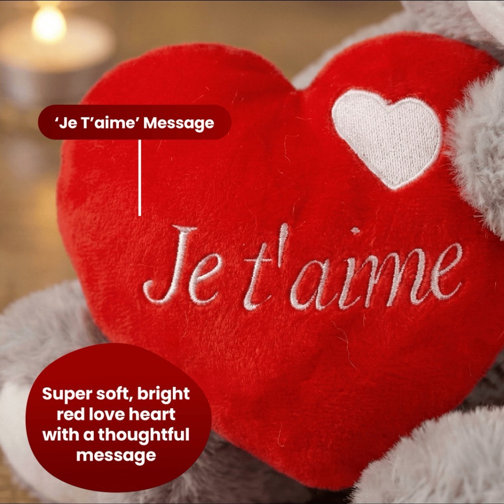 Valentines Day Hamper | 3 Pcs | Grey 'Je T'aime' Teddy, Rose & Candle