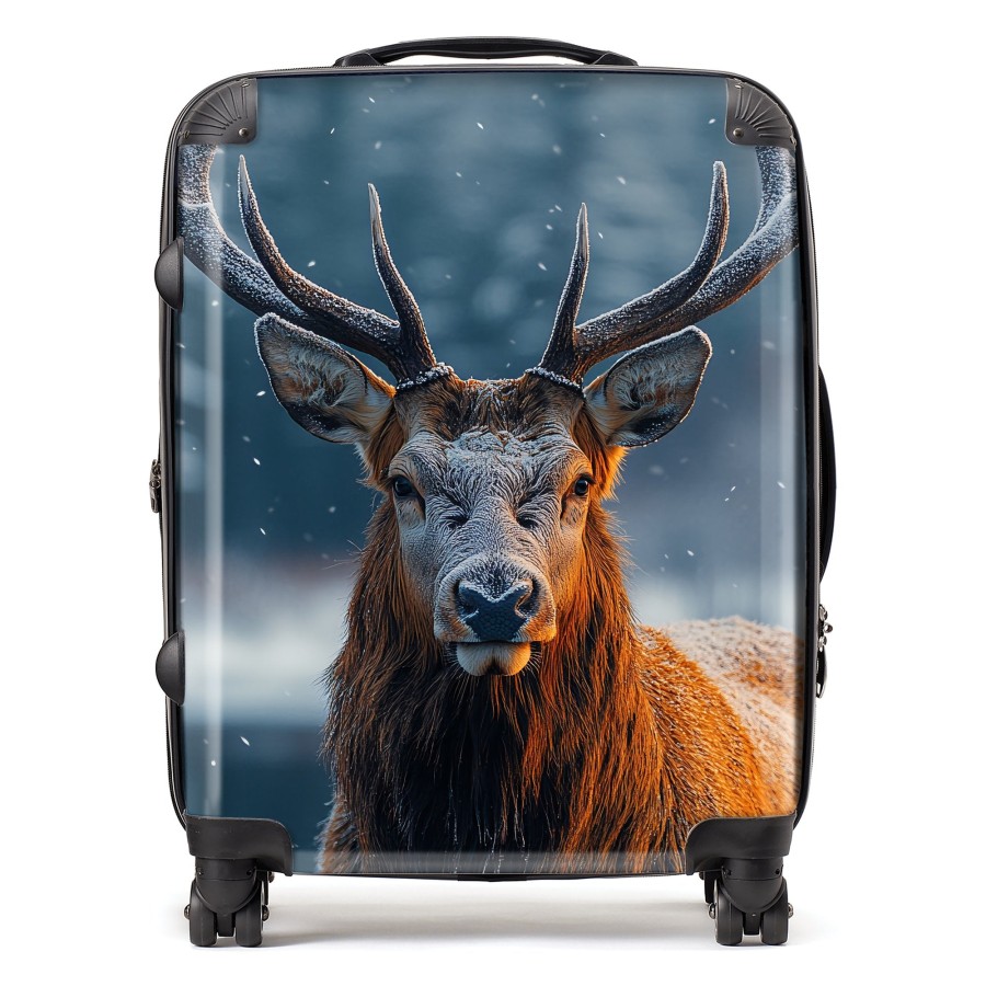 Click to view product details and reviews for Finn Wilder 00013 Suitcase Large.