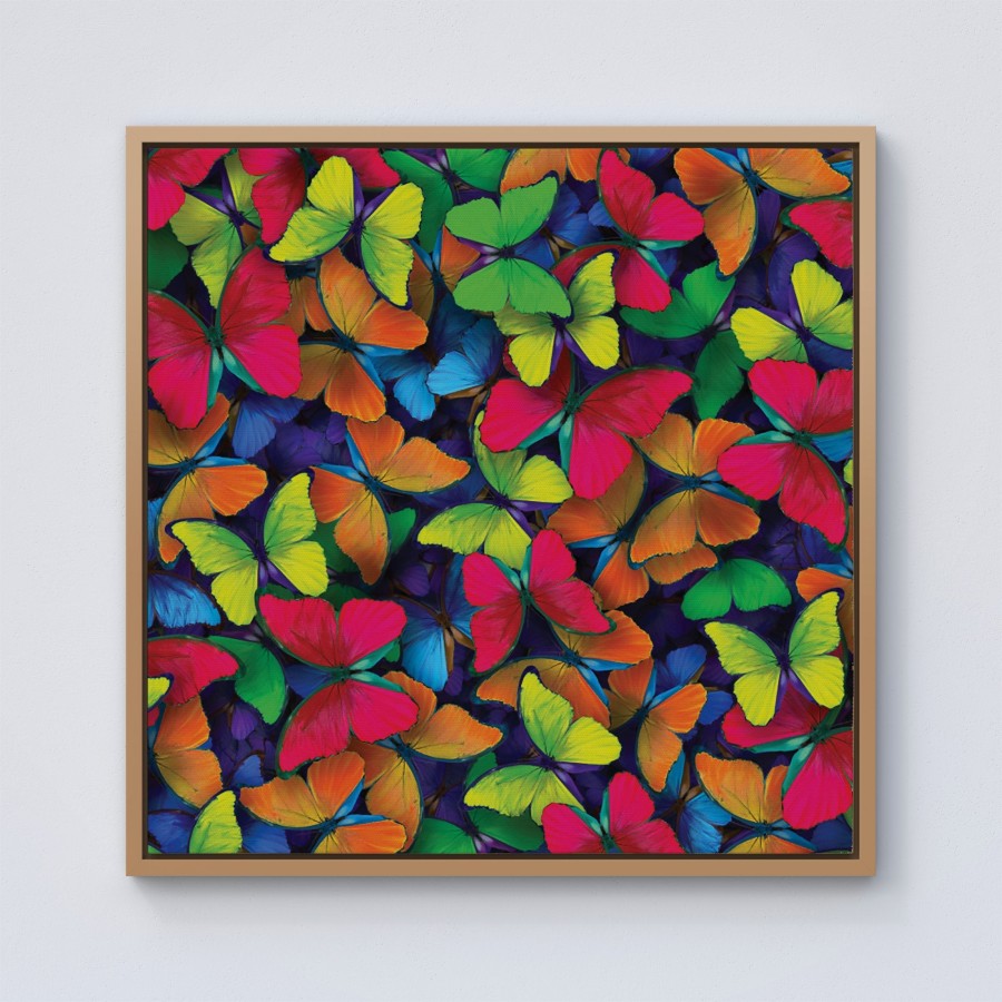 Click to view product details and reviews for Rainbow Butterflies Framed Canvas 10 X 10 Pine.