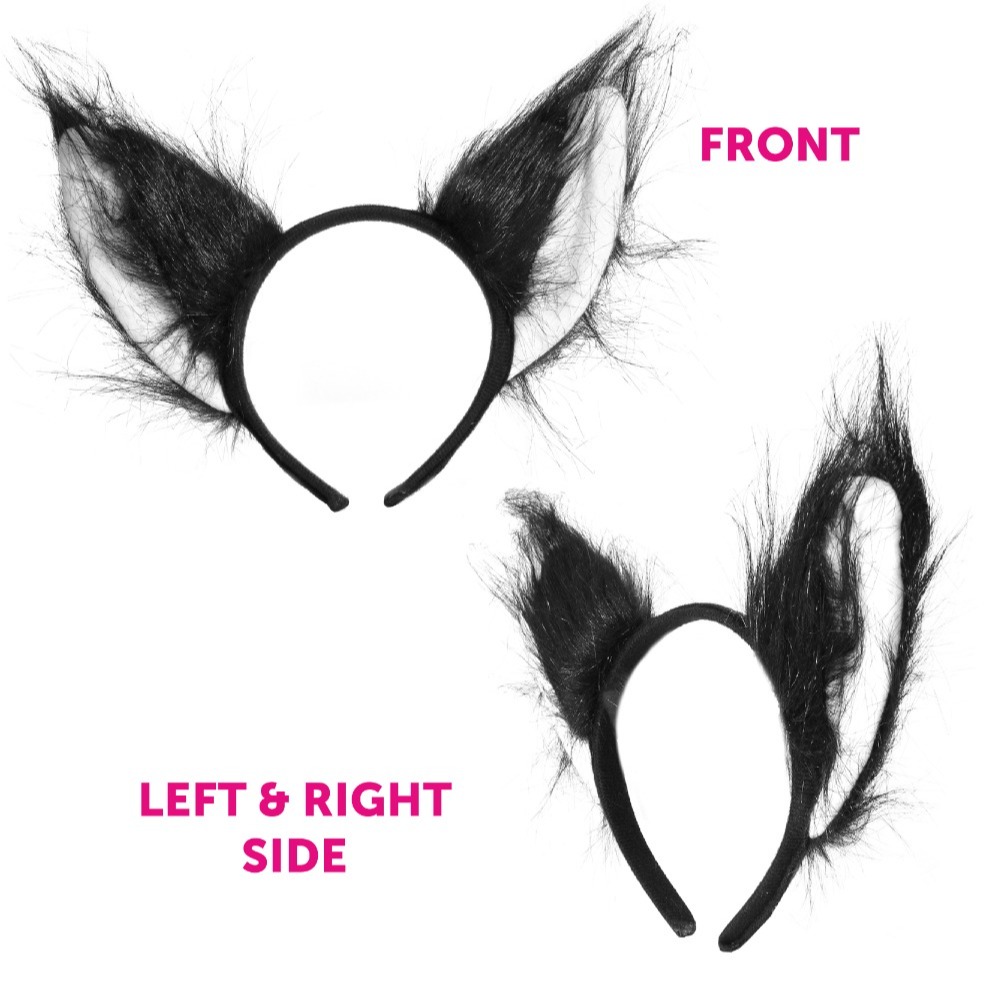 Adults Rebel Girl Costume Set | 4 Pcs | Plait Wig, Cat Ears, Thick Tail & Lantern