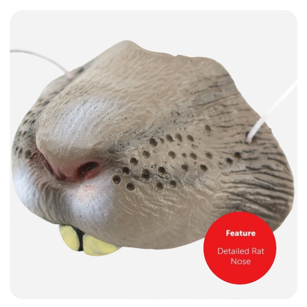 Childs Highway Rodent Accessory Set - Feather Trim Tricorn Hat, Mask & Sword