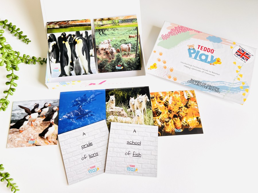 Teddo Play - Names of Groups (Collective Nouns) Learning Cards Set