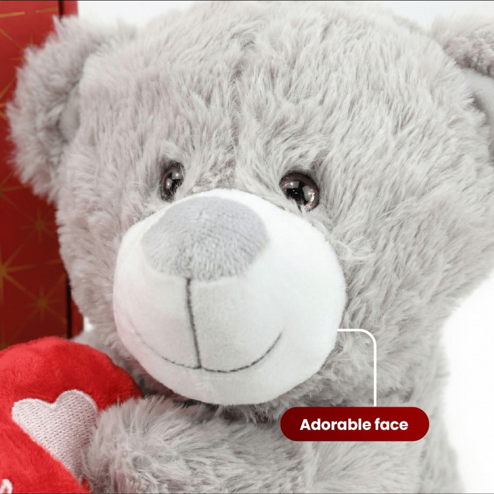 Valentines Day Hamper | 2 Pcs | Grey 'I Love you' Teddy & Rose