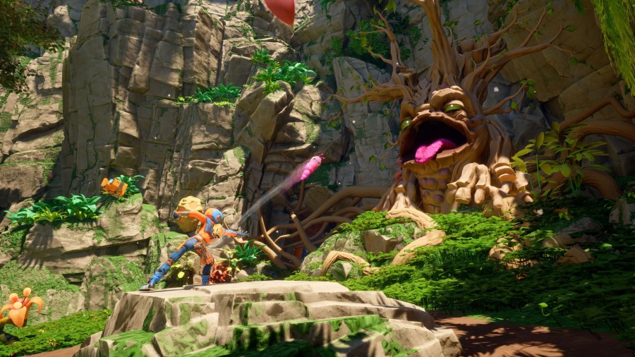 Image 5