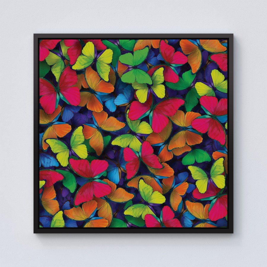 Click to view product details and reviews for Rainbow Butterflies Framed Canvas 10 X 10 Black.