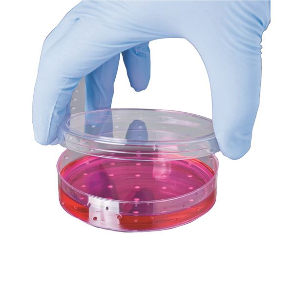 Click to view product details and reviews for Shield Pf Nitrile Gloves S P100 Gd19 Hea00972.