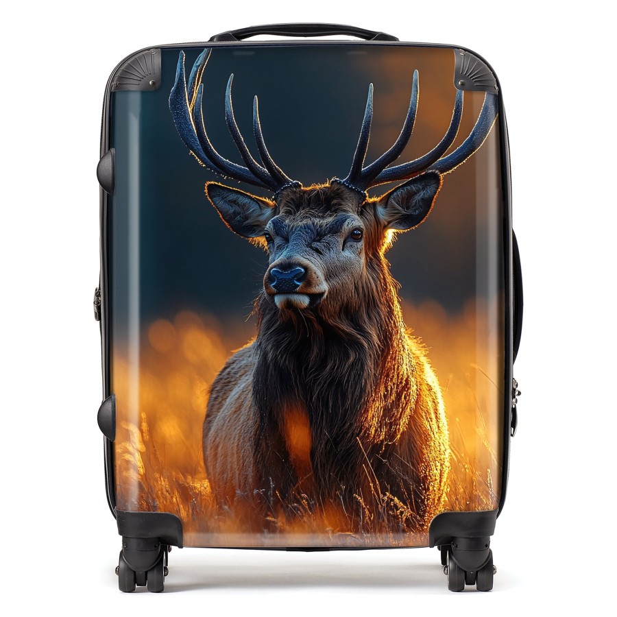 Click to view product details and reviews for Finn Wilder 00014 Suitcase Large.