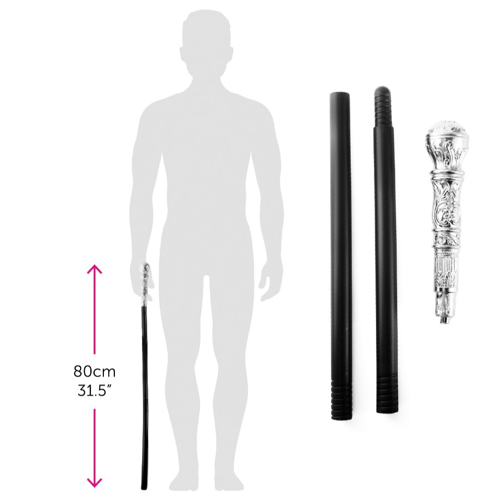 Top Hat & Cane Set | Felt Top Hat & Silver Cane