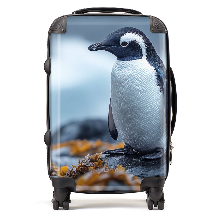 Click to view product details and reviews for Finn Wilder 00035 Suitcase Cabin.