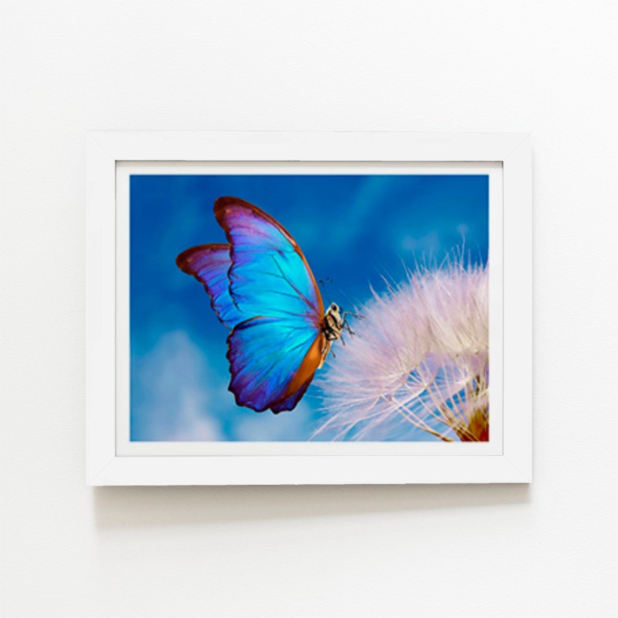 Click to view product details and reviews for Butterfly And Dandelion Art Prints 20 X 30 White Frame.