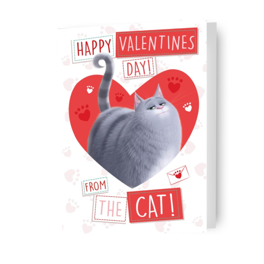 Click to view product details and reviews for The Secret Life Of Pets From The Cat Valentines Day Card.