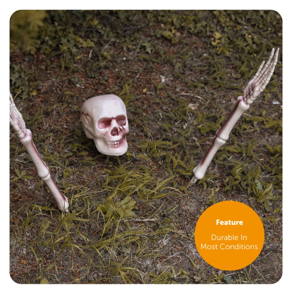 3 Piece Groundbreaking Skeleton Halloween Decoration