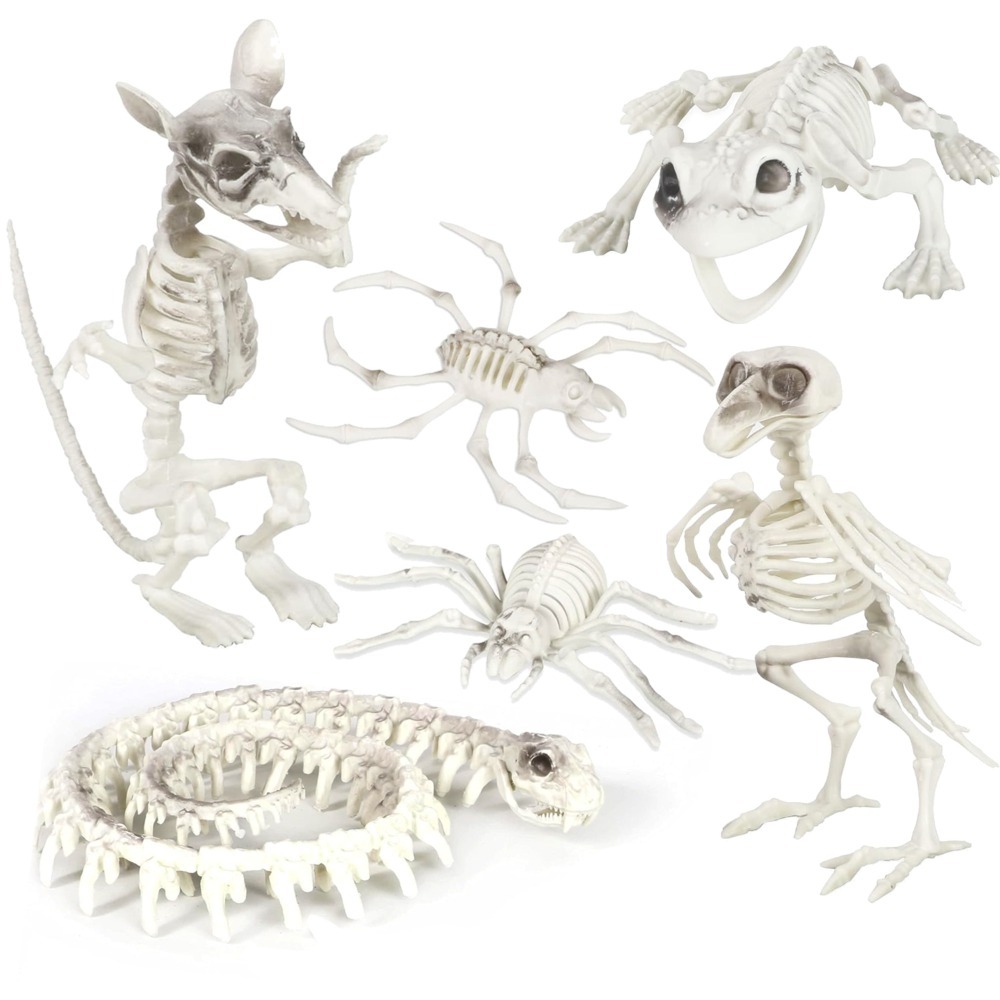 Click to view product details and reviews for Plastic Animal Skeleton Pack 6 Pcs Snake Spider Crab Crow Frog Rat.