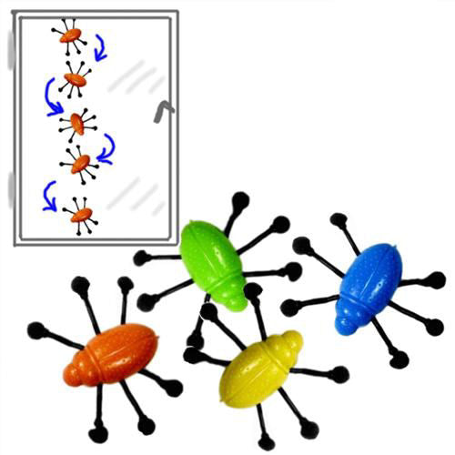6 Window Crawler Bugs