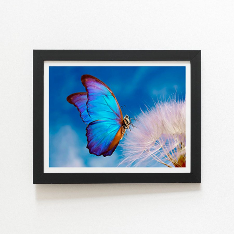 Click to view product details and reviews for Butterfly And Dandelion Art Prints 8 X 10 Black Frame.