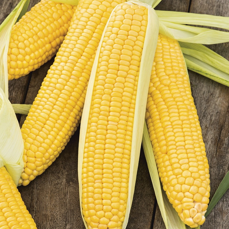 Crop