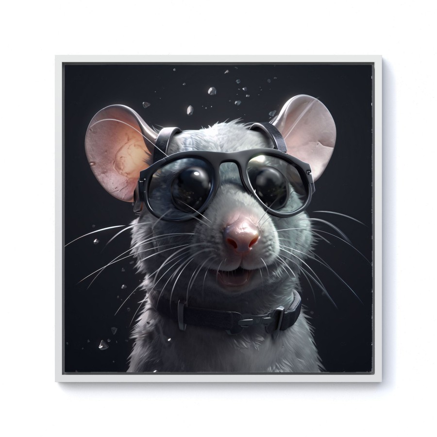 Splashart Rat In Glasses Framed Canvas