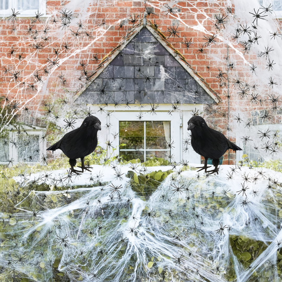 Click to view product details and reviews for Halloween Decoration Bundle Spiders Webs Crows Pack Of 2 Crow 200g Web.