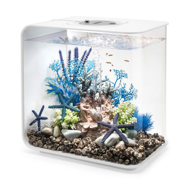 Biorb Flow 30l Aquarium Mcr Led Lighting Black White White