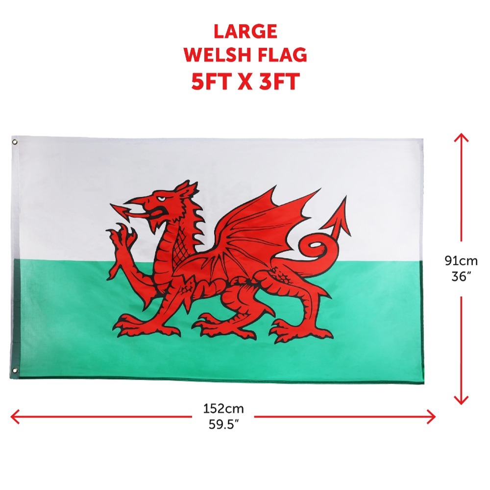 Large Wales Flag