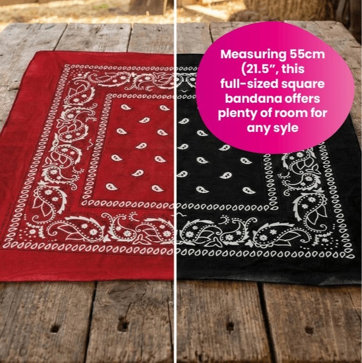 Adults Brown & Black Star Studded Cowboy Hats with Red & Black Paisley Bandanas | Western Fancy Dress Accessory Set