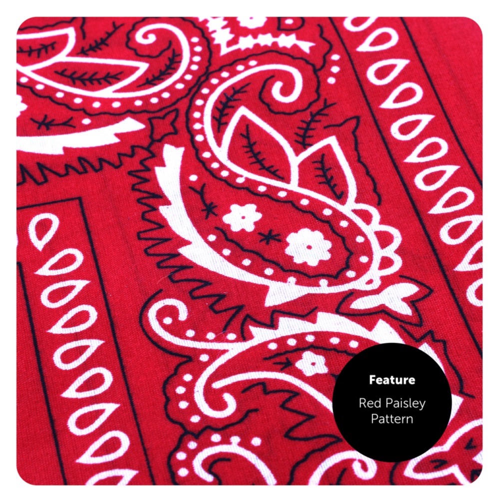 Brown Studded Cowboy Hat & Red Bandana - Detail 2