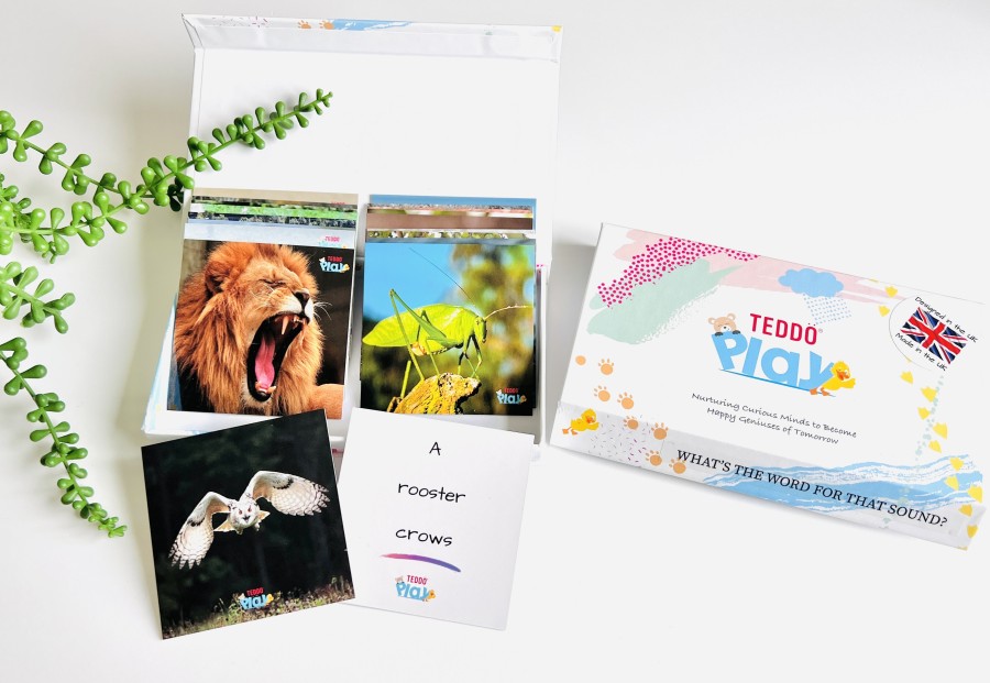 Click to view product details and reviews for Teddo Play Whats The Word For That Sound Learning Cards Set.