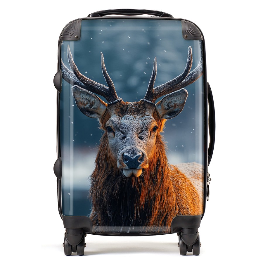 Click to view product details and reviews for Finn Wilder 00013 Suitcase Cabin.