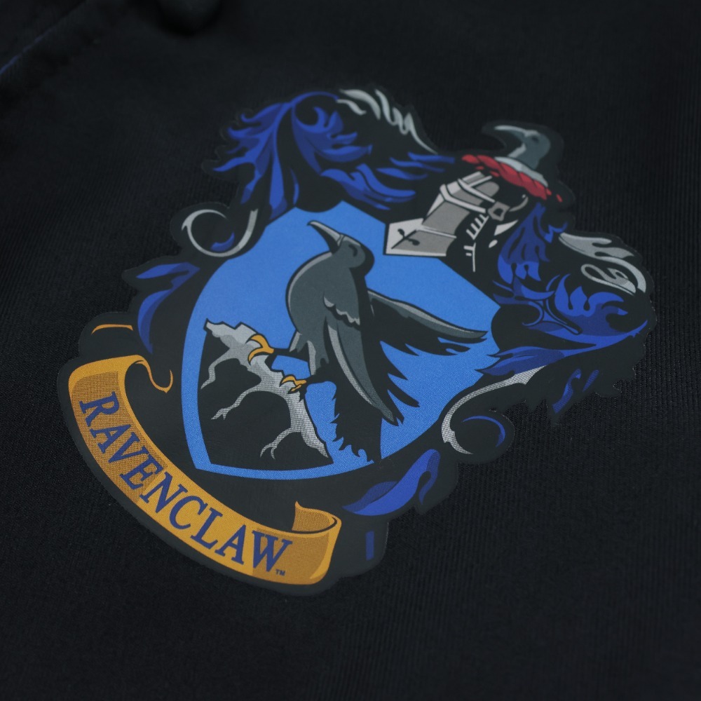 Adults Harry Potter Costume | Ravenclaw Cloak, Tie & Tattoos